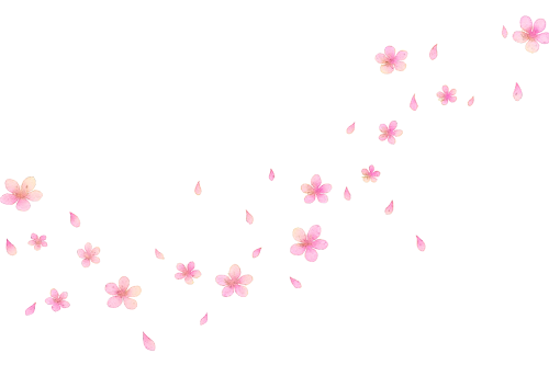 pink-flower